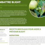 Combattre le mildiou (Blight)
