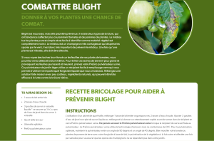 Combattre le mildiou (Blight)
