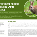 Recette à base de fumier de lapin