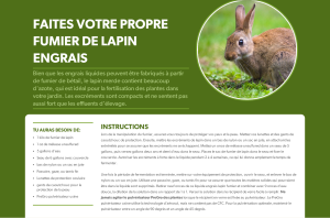 Recette à base de fumier de lapin