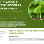 recette pour les semis