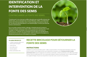 recette pour les semis