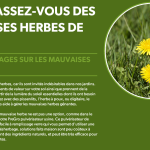 Se débarrasser des mauvaises herbes