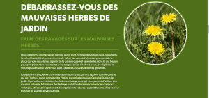Se débarrasser des mauvaises herbes