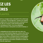 Protection des coléoptères