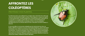 Protection des coléoptères