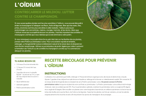 Prévention de l'oïdium