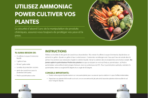 Recette ammoniac pour plantes