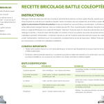 Recette et identification coléoptères