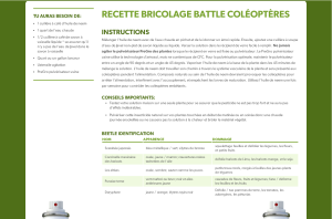 Recette et identification coléoptères