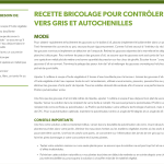 Recette pour vers et chenilles