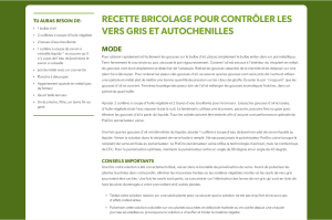 Recette pour vers et chenilles