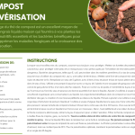 Thé de compost